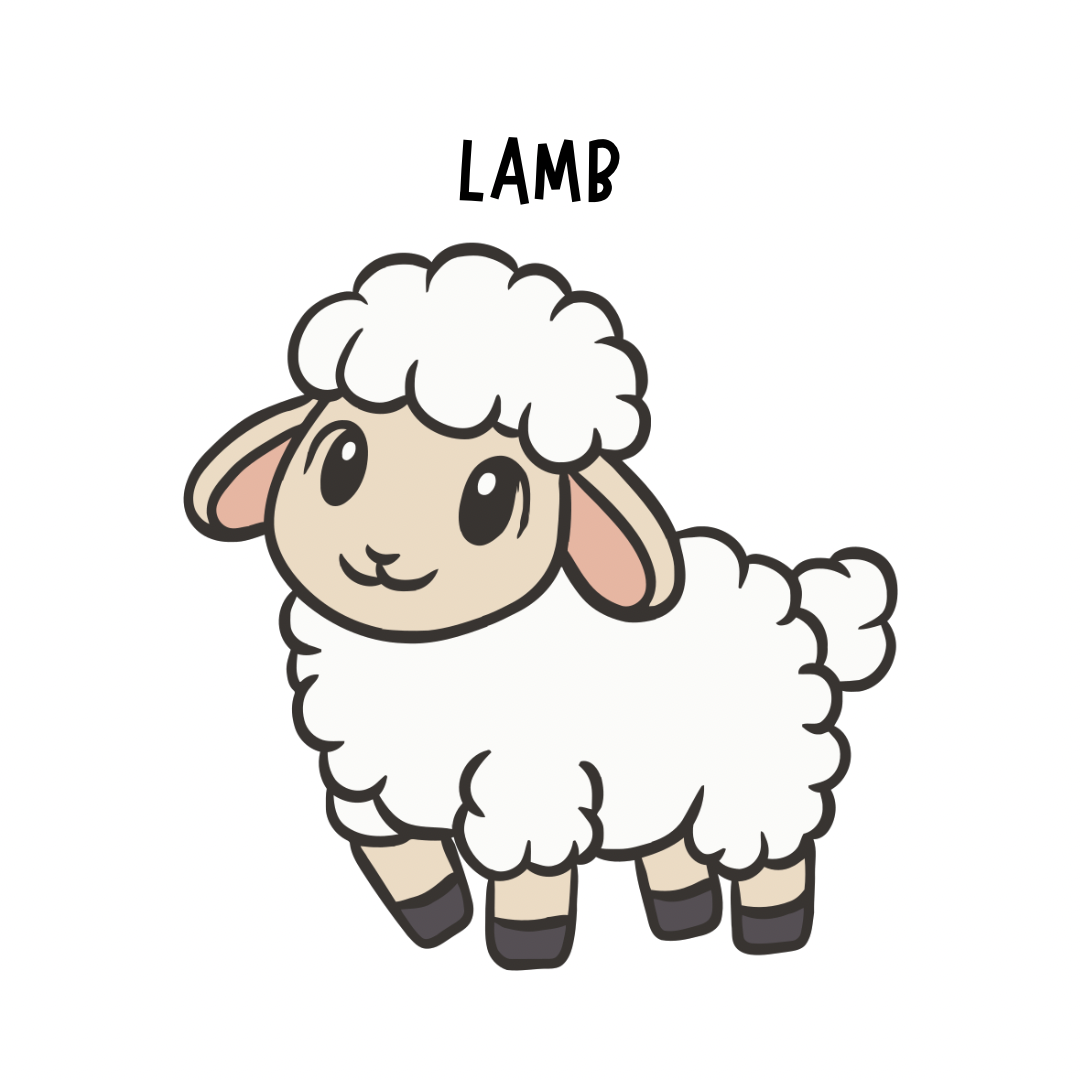 Lamb Treats