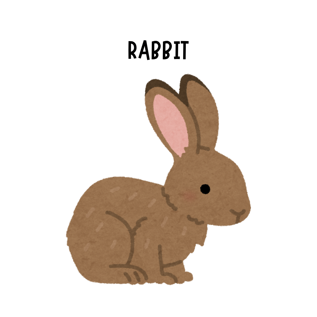 Rabbit Treats