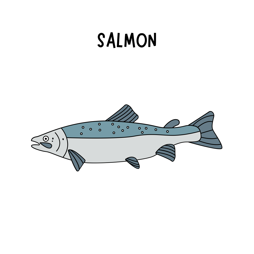 Salmon Treats