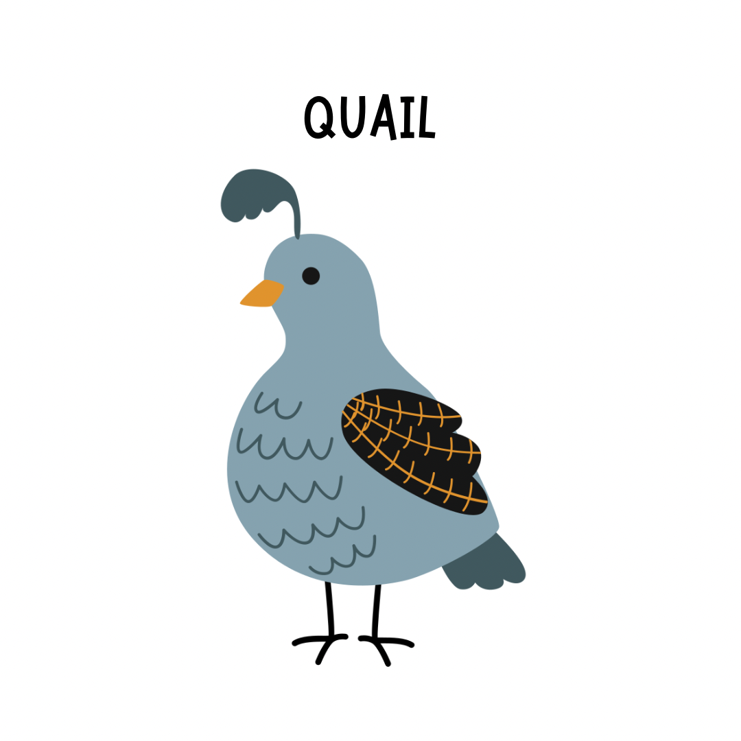 Quail Treats