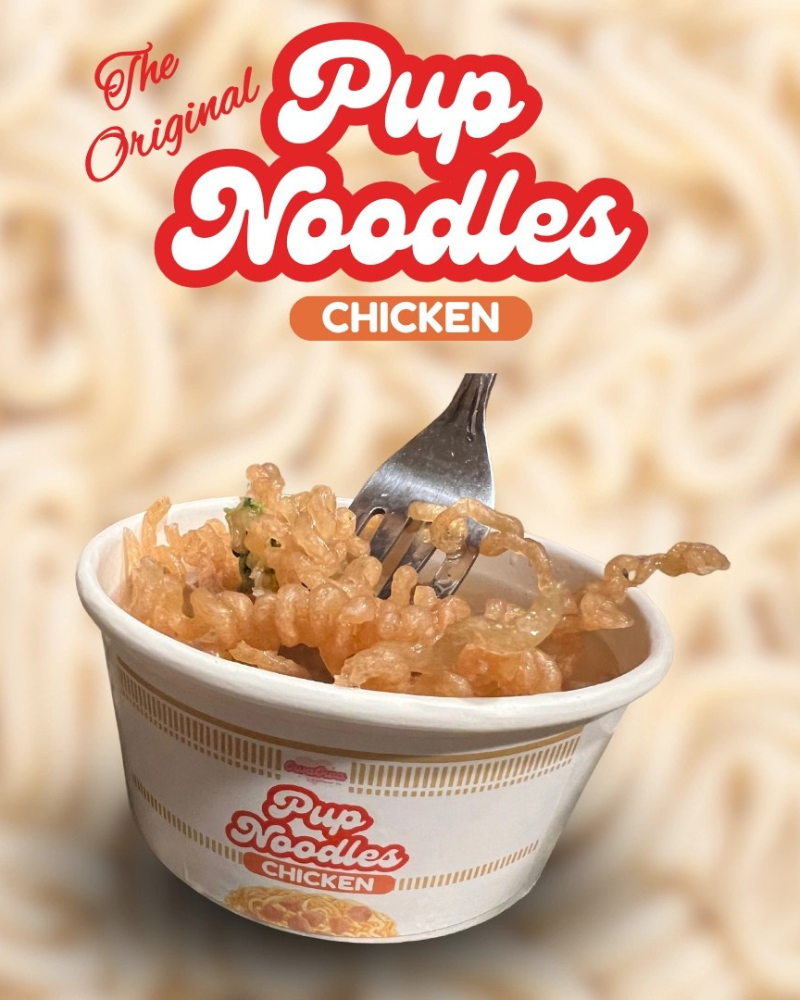 Chicken Pup Noodles Cup
