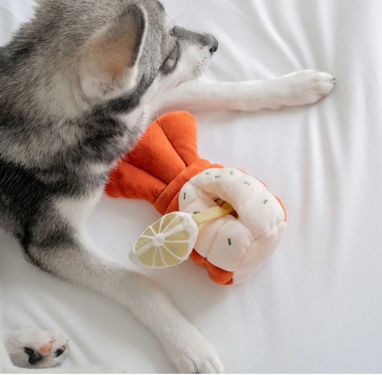 Grilled Lobster Nosework Toy