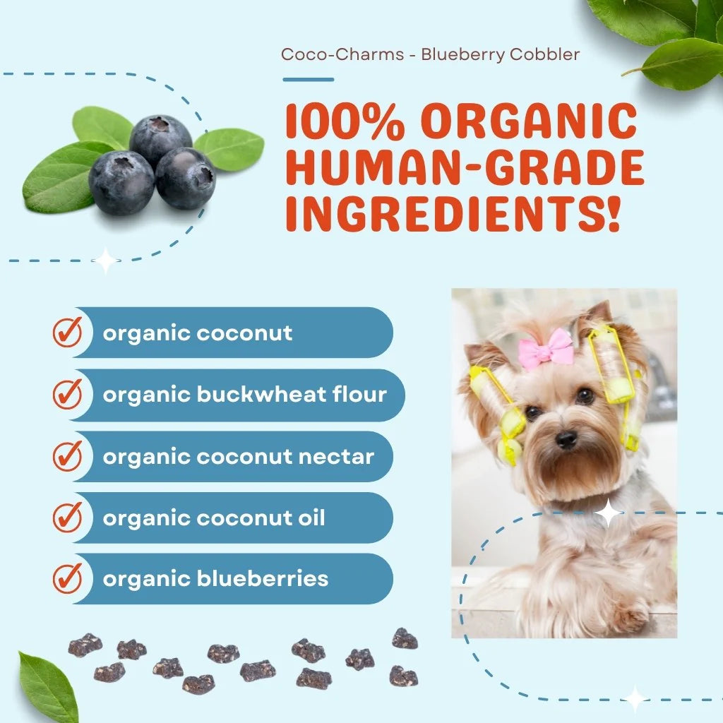 Blueberry Cobbler Coco-Charms Training Treats