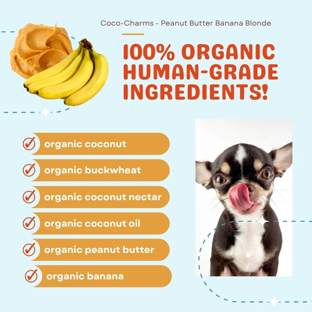 Peanut Butter Banana Blondie Coco-Charms Training Treats