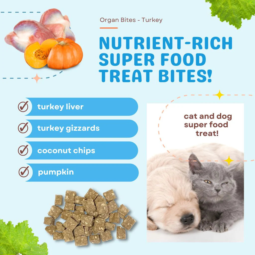 Turkey + Pumpkin Freeze Dried Organ Bites