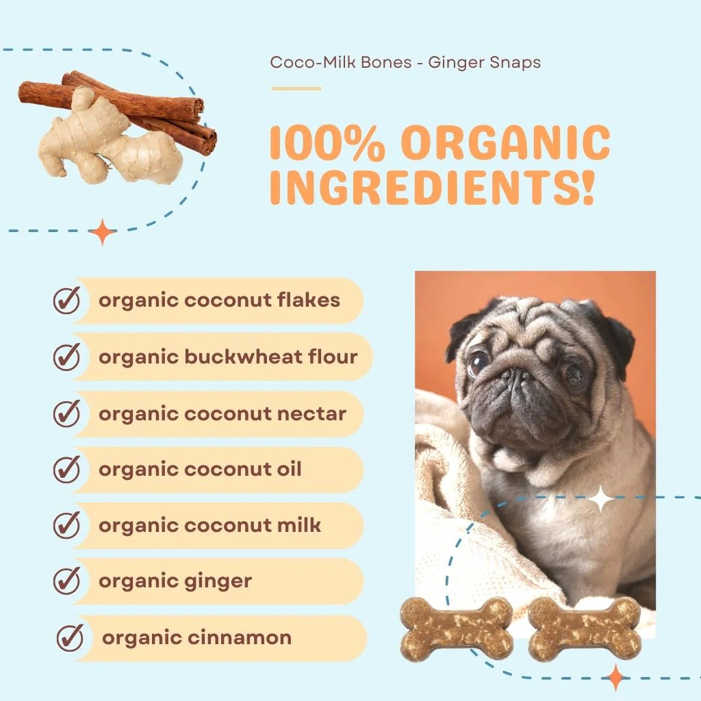 Ginger Snaps Coco-Milk Bones