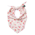 Mittens Bandana