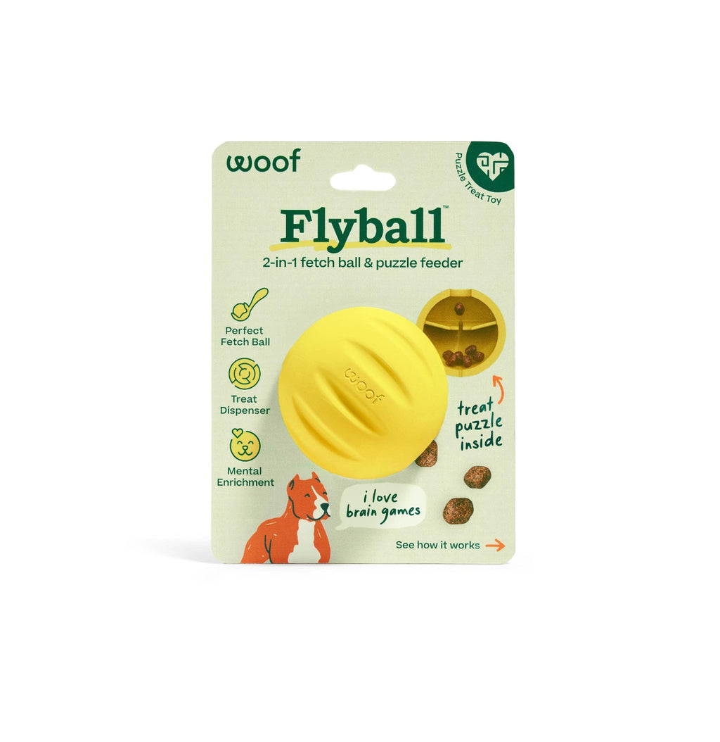 Flyball