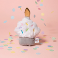 Celebration Cupcake Plush
