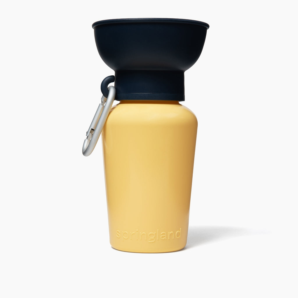 Summer Flip Top Water Bottle
