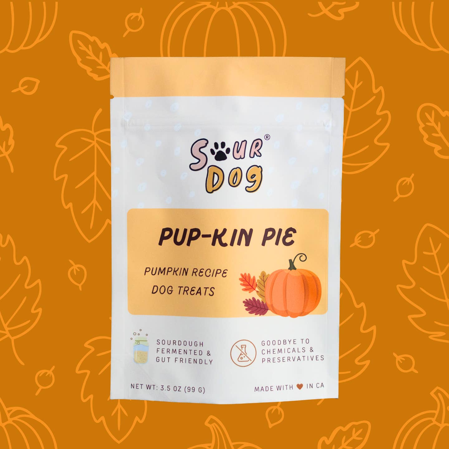 Pupkin Pie Sourdough Treat