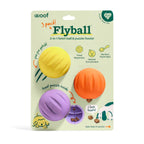 Flyball