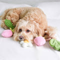 Strawberry Vine Rope Toy