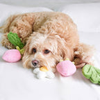 Strawberry Vine Rope Toy