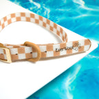 Check Me Out Waterproof Collar