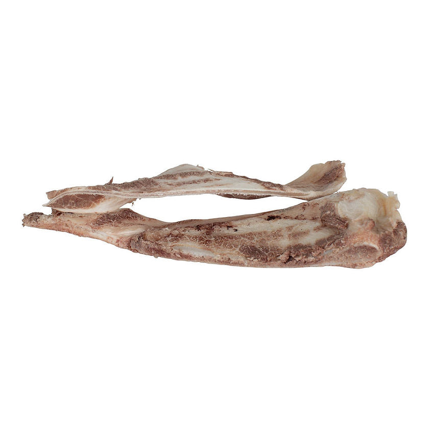 Bison Scapula Chew