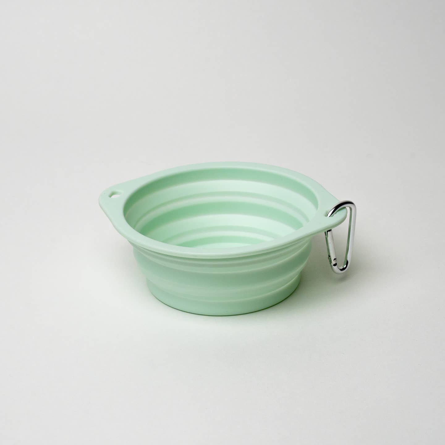 Collapsible Travel Bowl