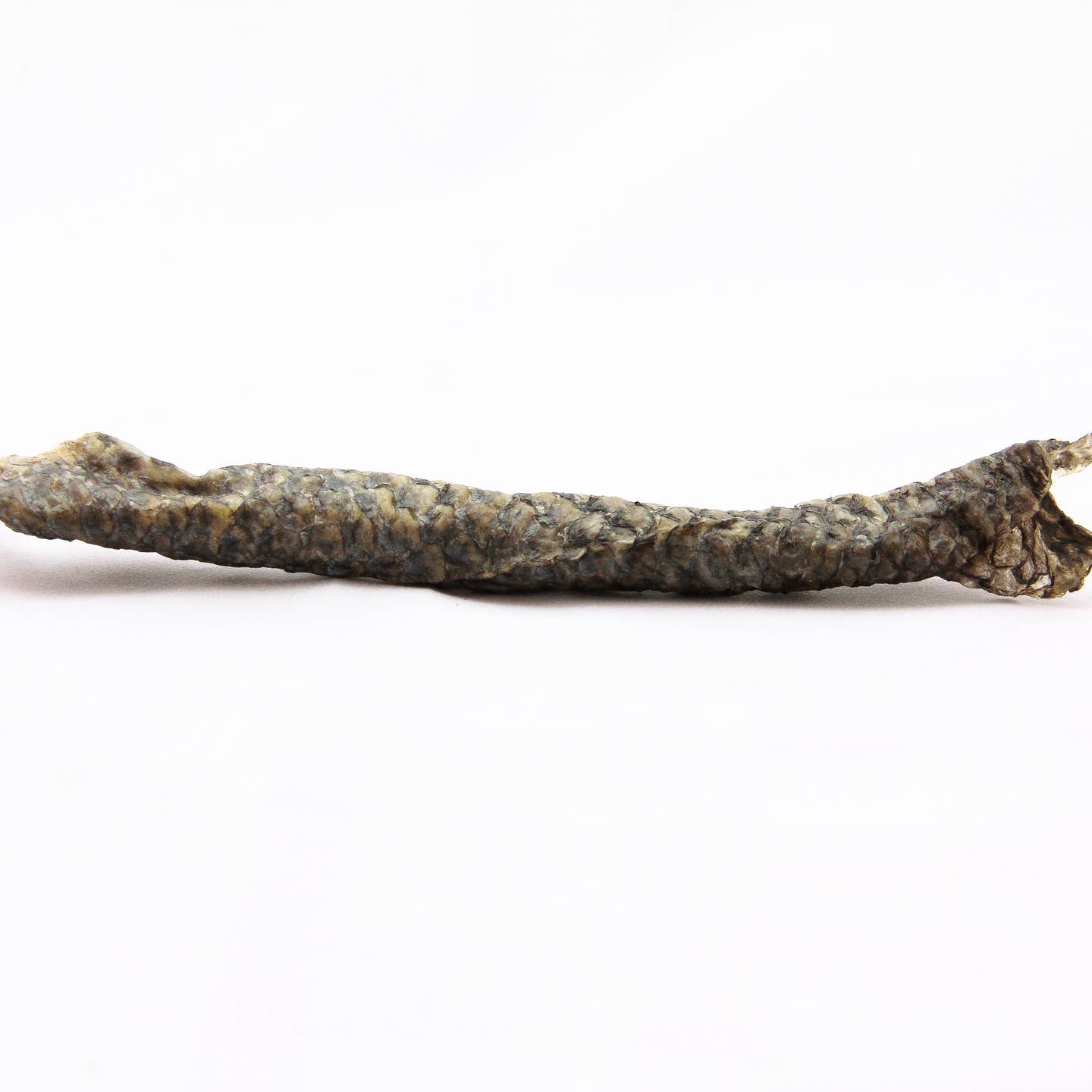Talapia Skin Chew