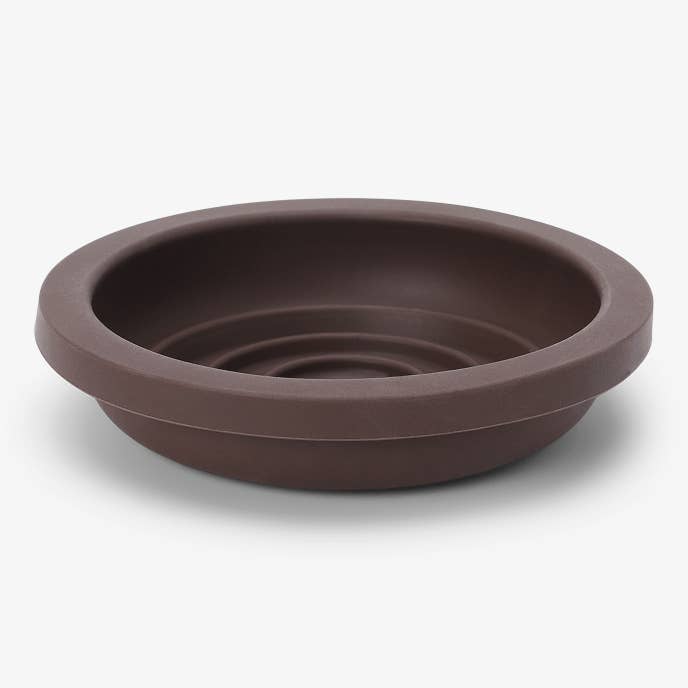 Slooowserve Cat Bowl
