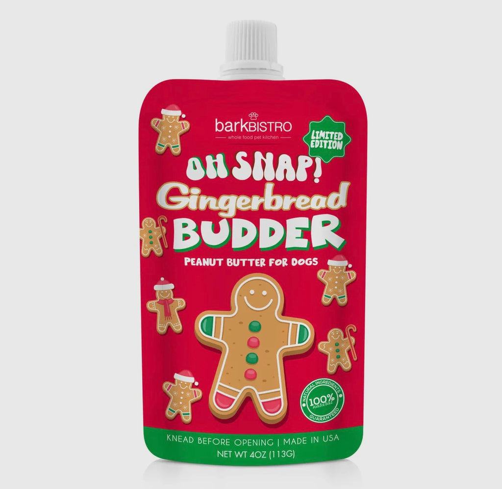 Oh Snap! Gingerbread Buddy Budder Squeeze Pouch