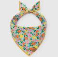 Island Time Bandana