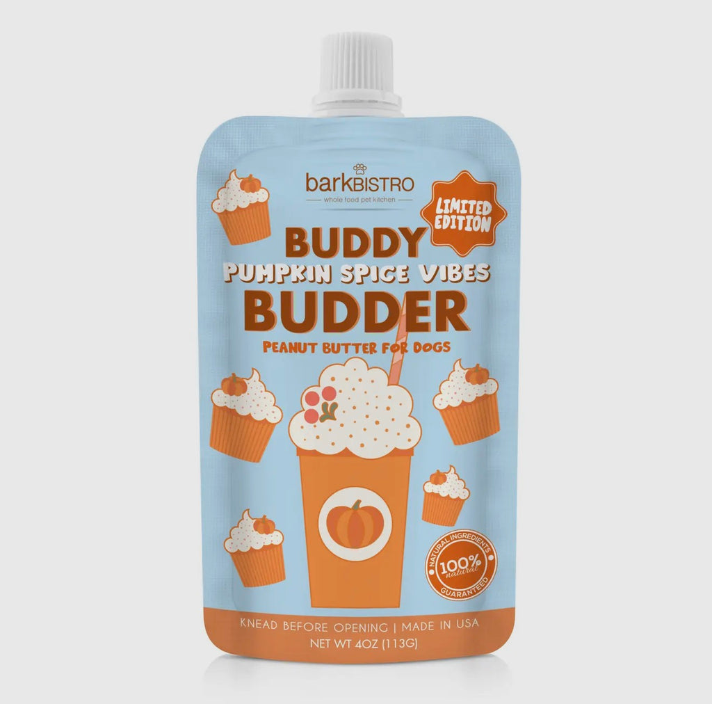 Pumpkin Spice Vibes Buddy Budder Squeeze Pouch