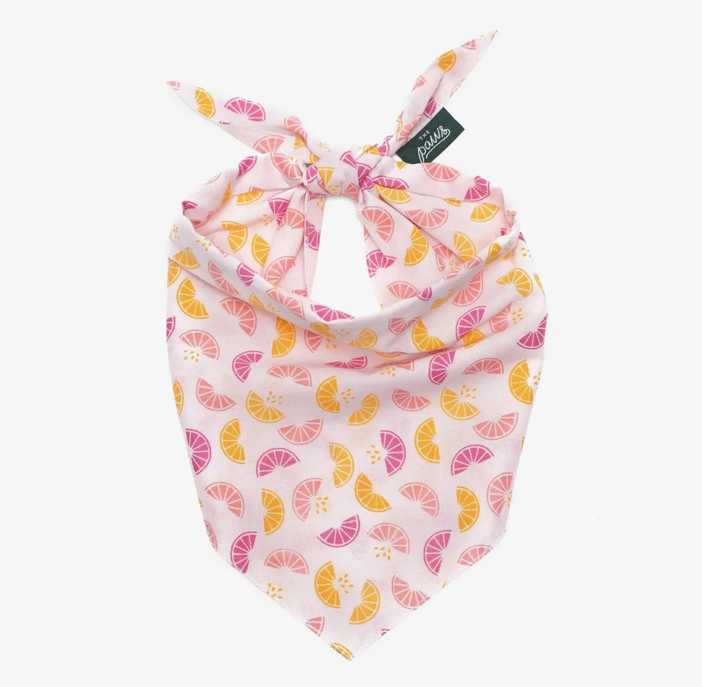 Squeezed Snap On Bandana