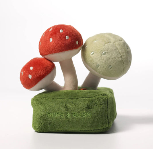 Forest Mushroom Nosework Toy