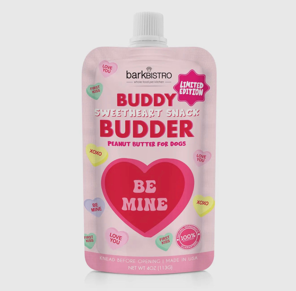 Sweetheart Snack Buddy Budder Squeeze Pouch
