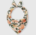Peaches and Cream Bandana