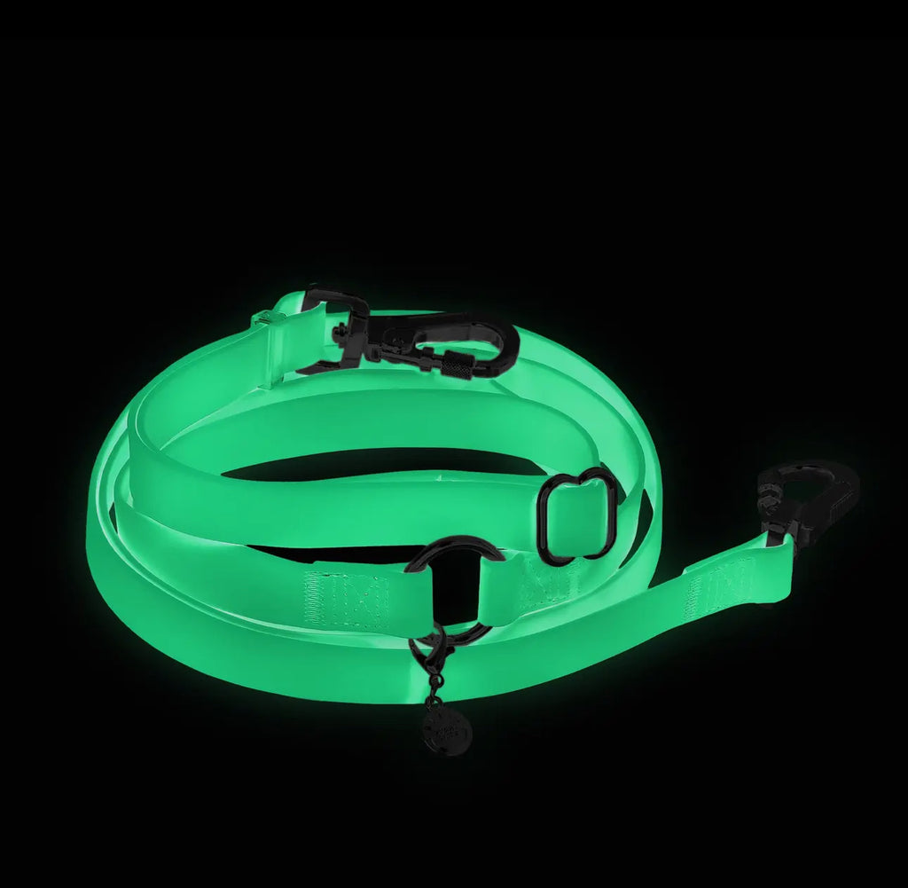 Cloud Lite Hands-Free Leash