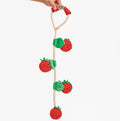 Cherry Tomato Nosework & Tug Toy