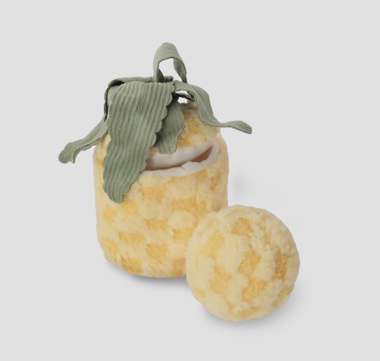 Pinapple Enrichment Toy