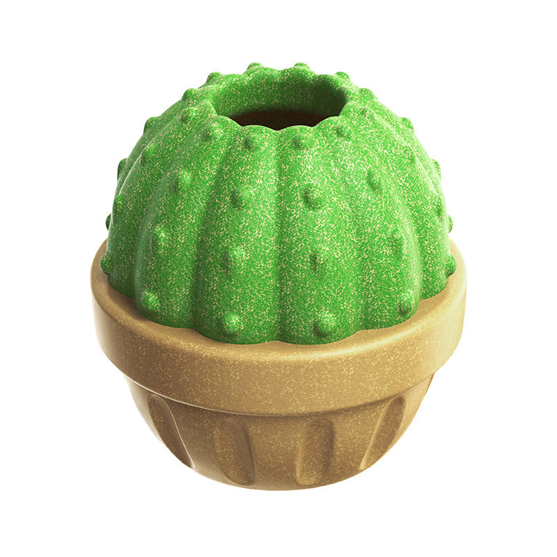 Cactus Interactive Toy