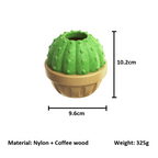 Cactus Interactive Toy