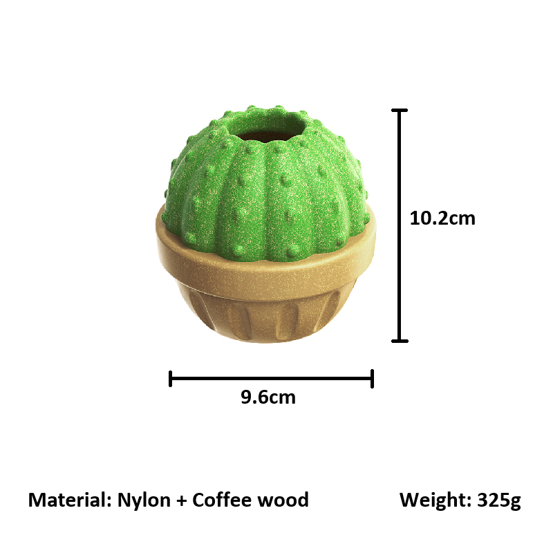 Cactus Interactive Toy