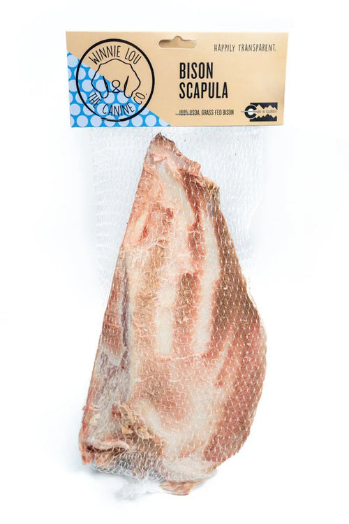 Bison Scapula Chew