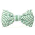 Green Seersucker Bow Tie