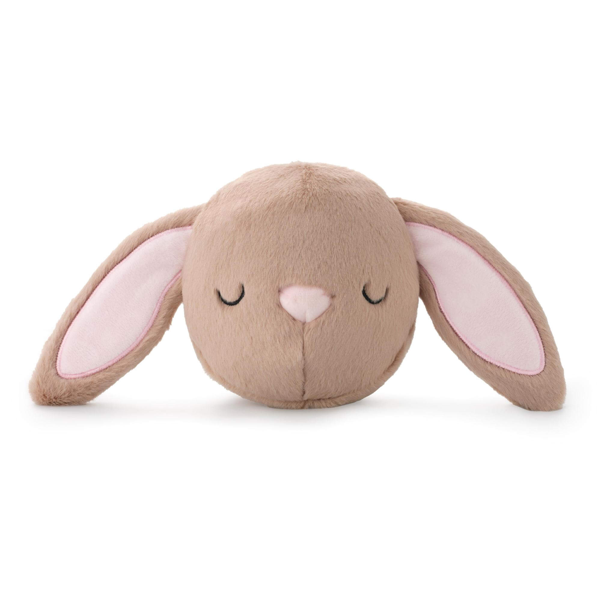 Bunny 2-in-1 Bounce Toy