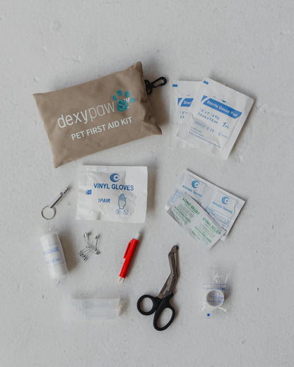 First Aid Kit (24-Piece)