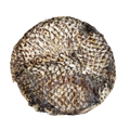 Tilapia FursBee Disc