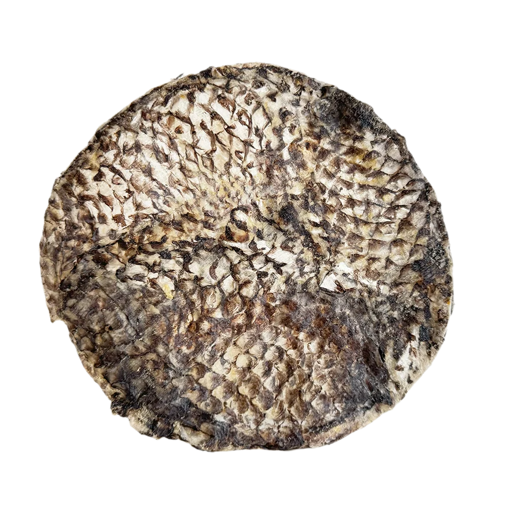Tilapia FursBee Disc