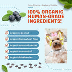 Blueberry Cobbler Coco-Charms Training Treats