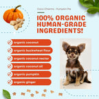 Pumpkin Pie Coco-Charms Training Treats