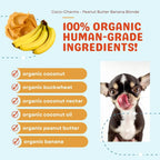 Peanut Butter Banana Blondie Coco-Charms Training Treats