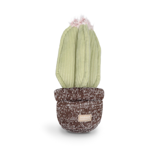 Cactus Snuffle Toy