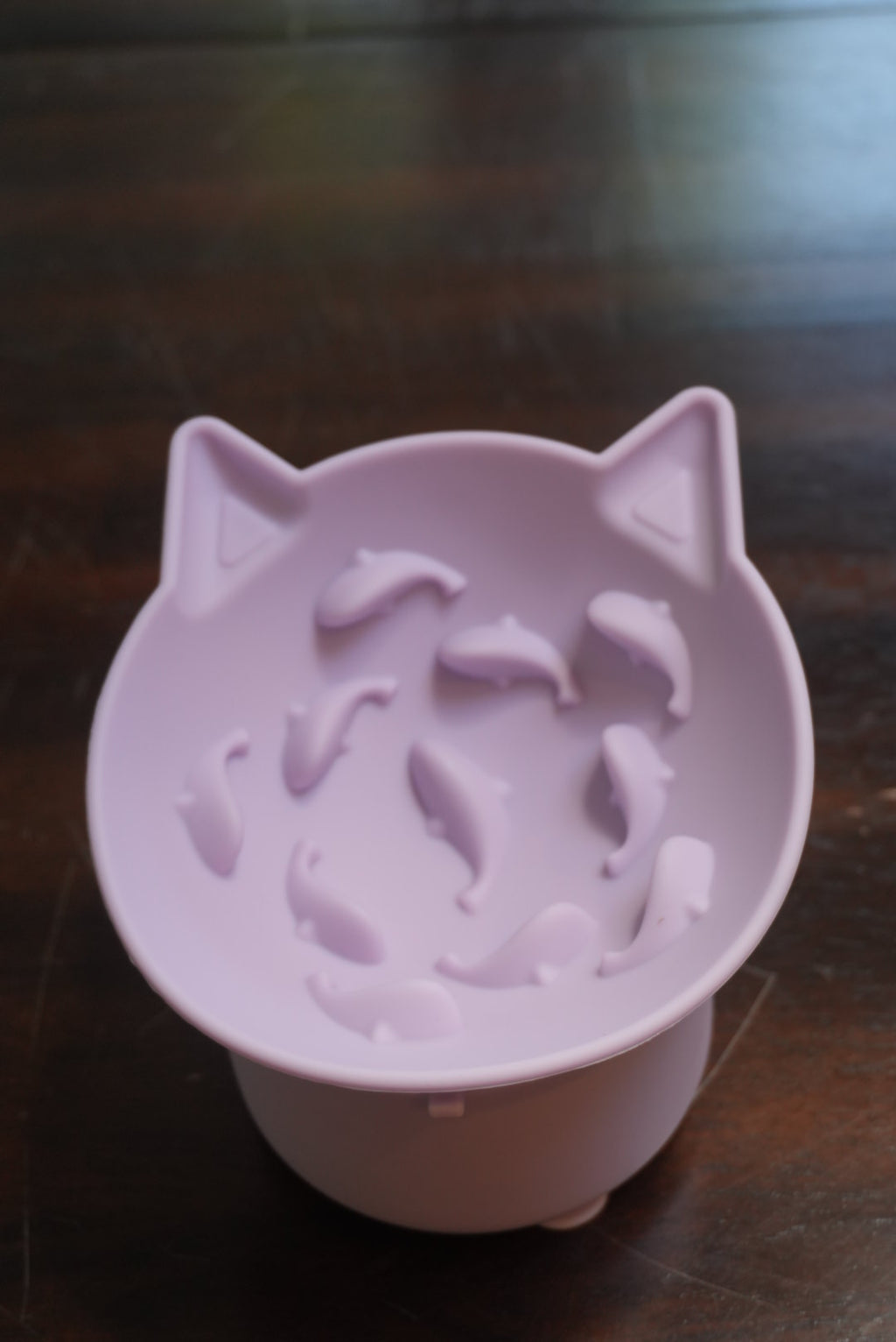 Lil Swimmers Cat Bowl