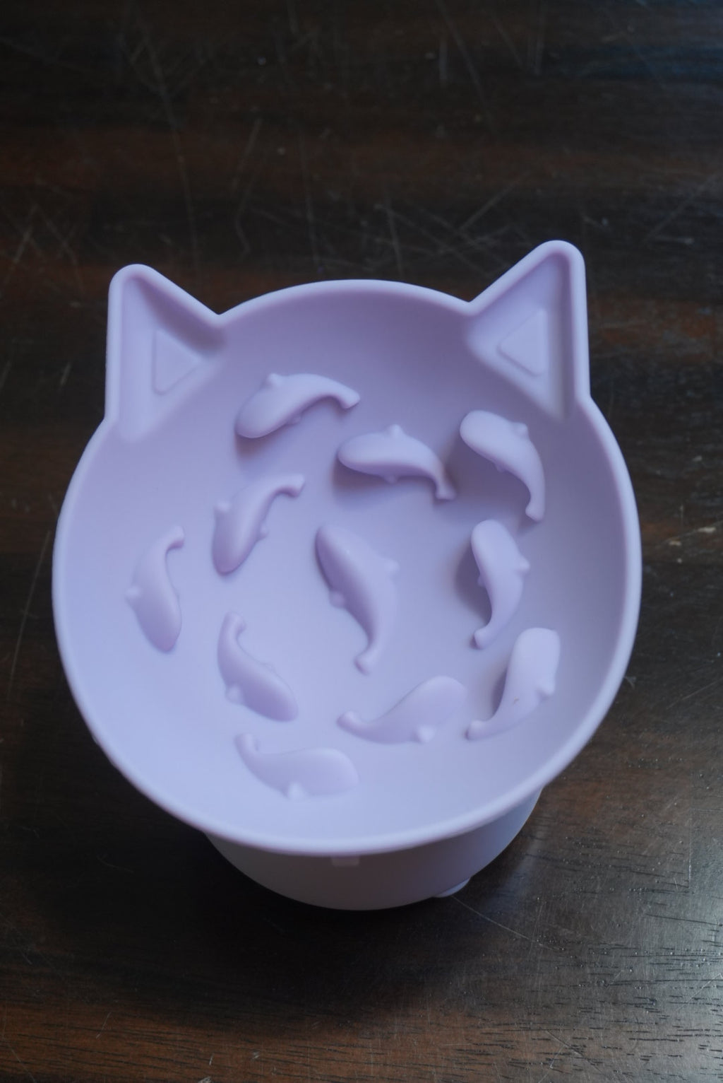 Lil Swimmers Cat Bowl