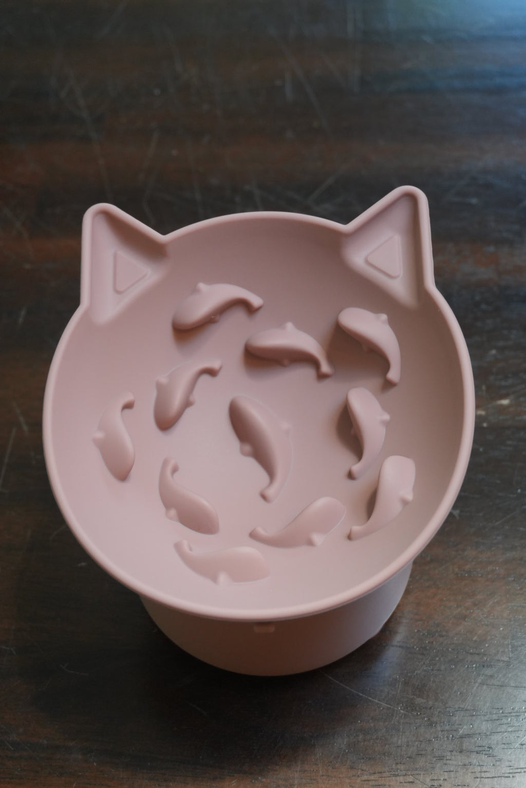 Lil Swimmers Cat Bowl