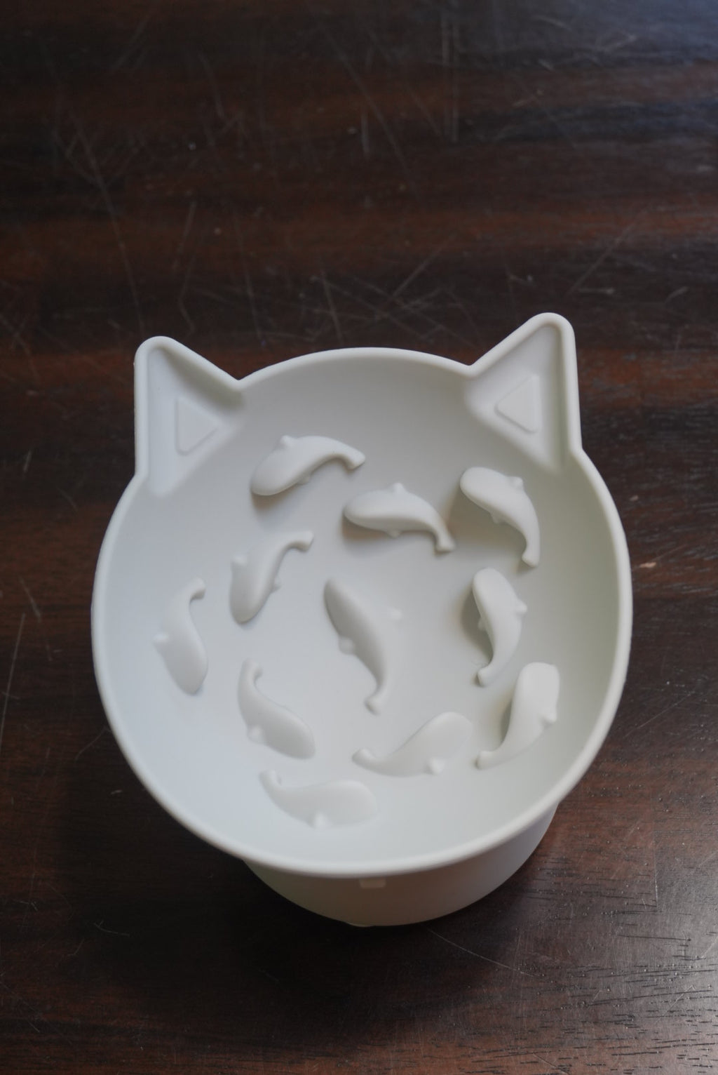 Lil Swimmers Cat Bowl